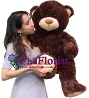 2 Feet Dark Brown Color Teddy Bear To philippines