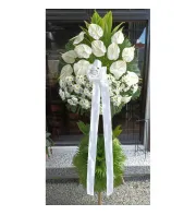 Anthurium and Mum Funeral Flower Arrangement