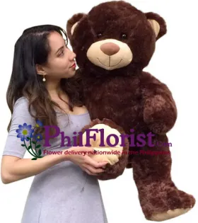 2 Feet Dark Brown Color Teddy Bear To philippines